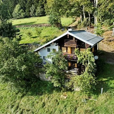 Stetter Schöllnach